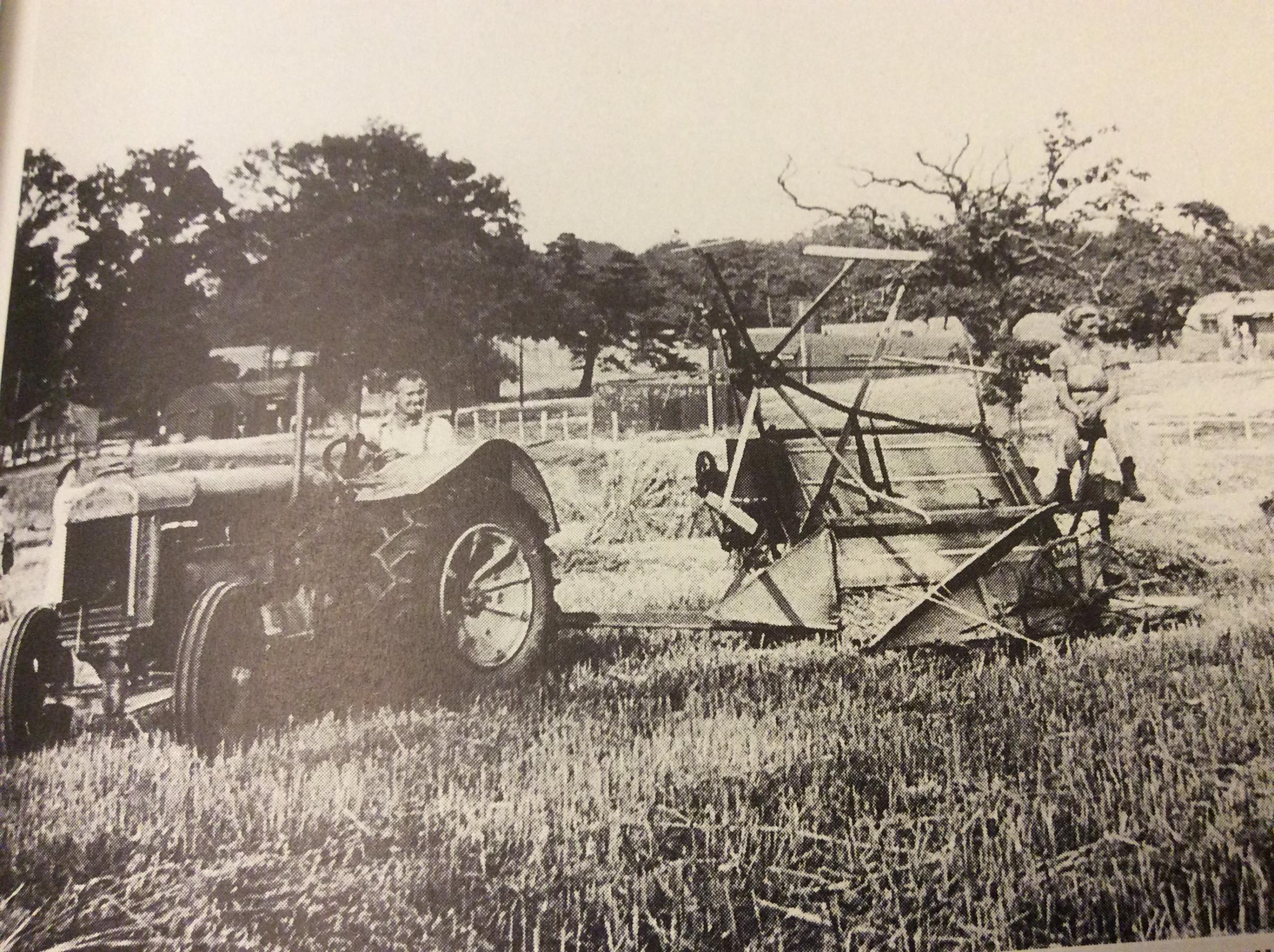 Harvesting In Norfolk
