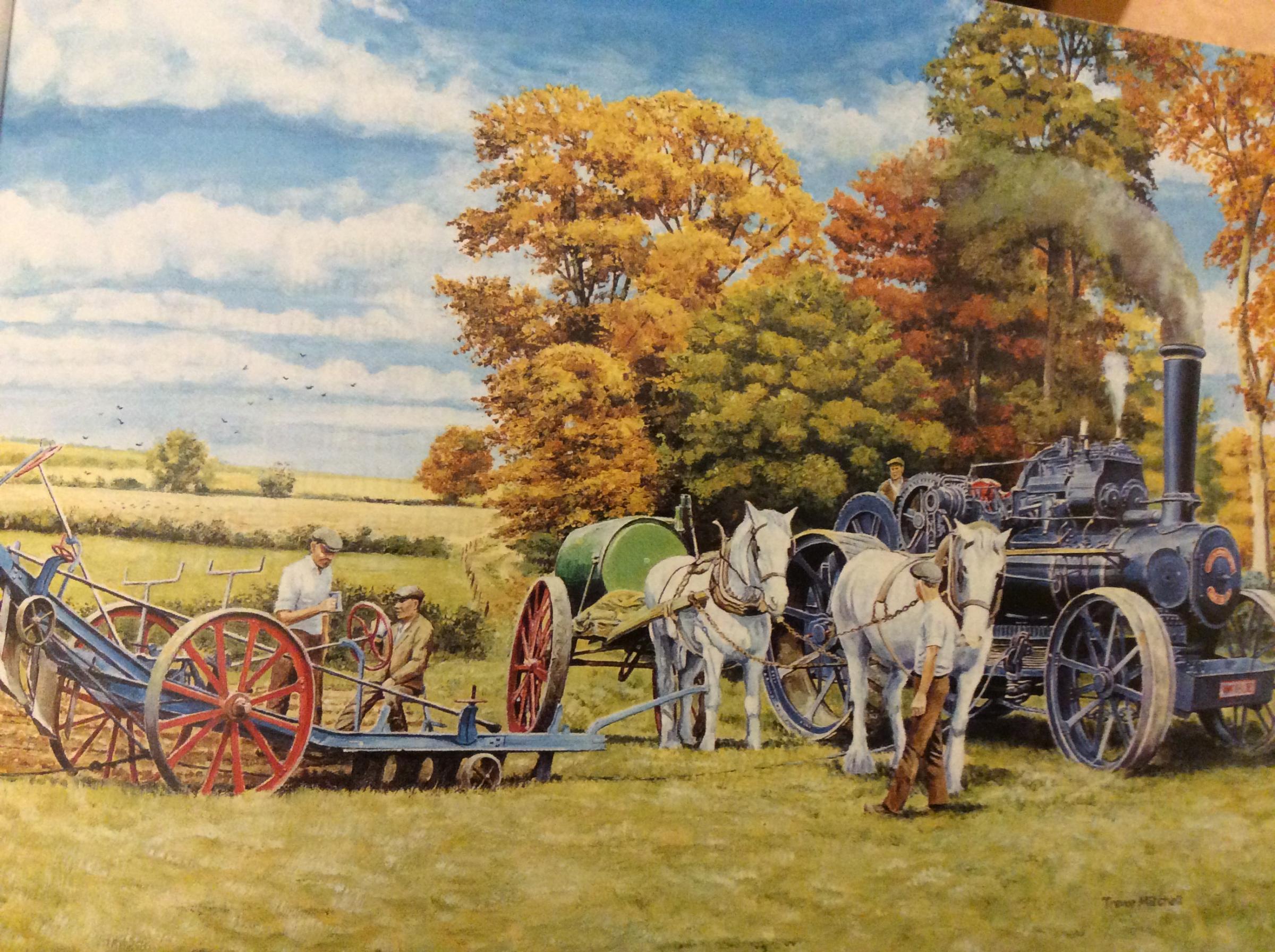 Importance Of Horses In Farming